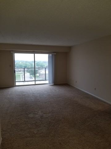 1133 7th St #708 - Photo 2 of 7