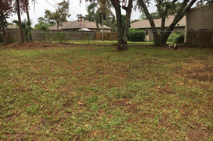 6555 Orchid Ave - Photo 2 of 14