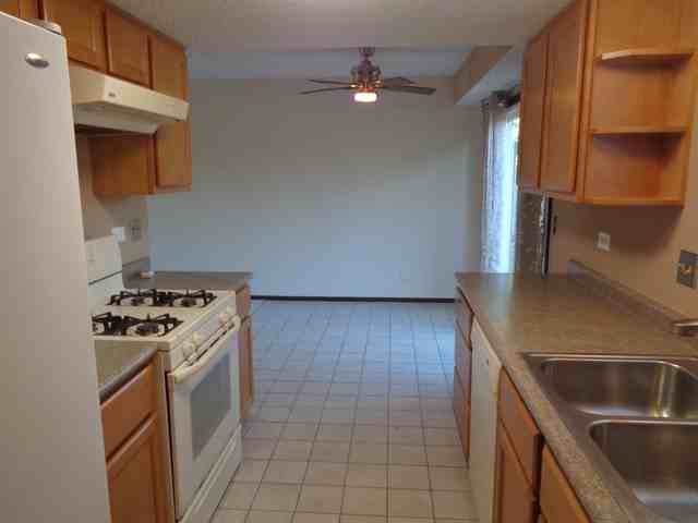 3287 Allspice Ct - Photo 3 of 16