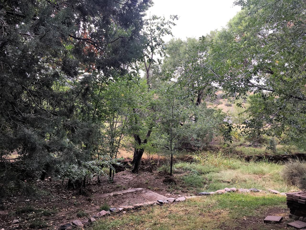 1020 N Rose Quartz Dr - Photo 3 of 25