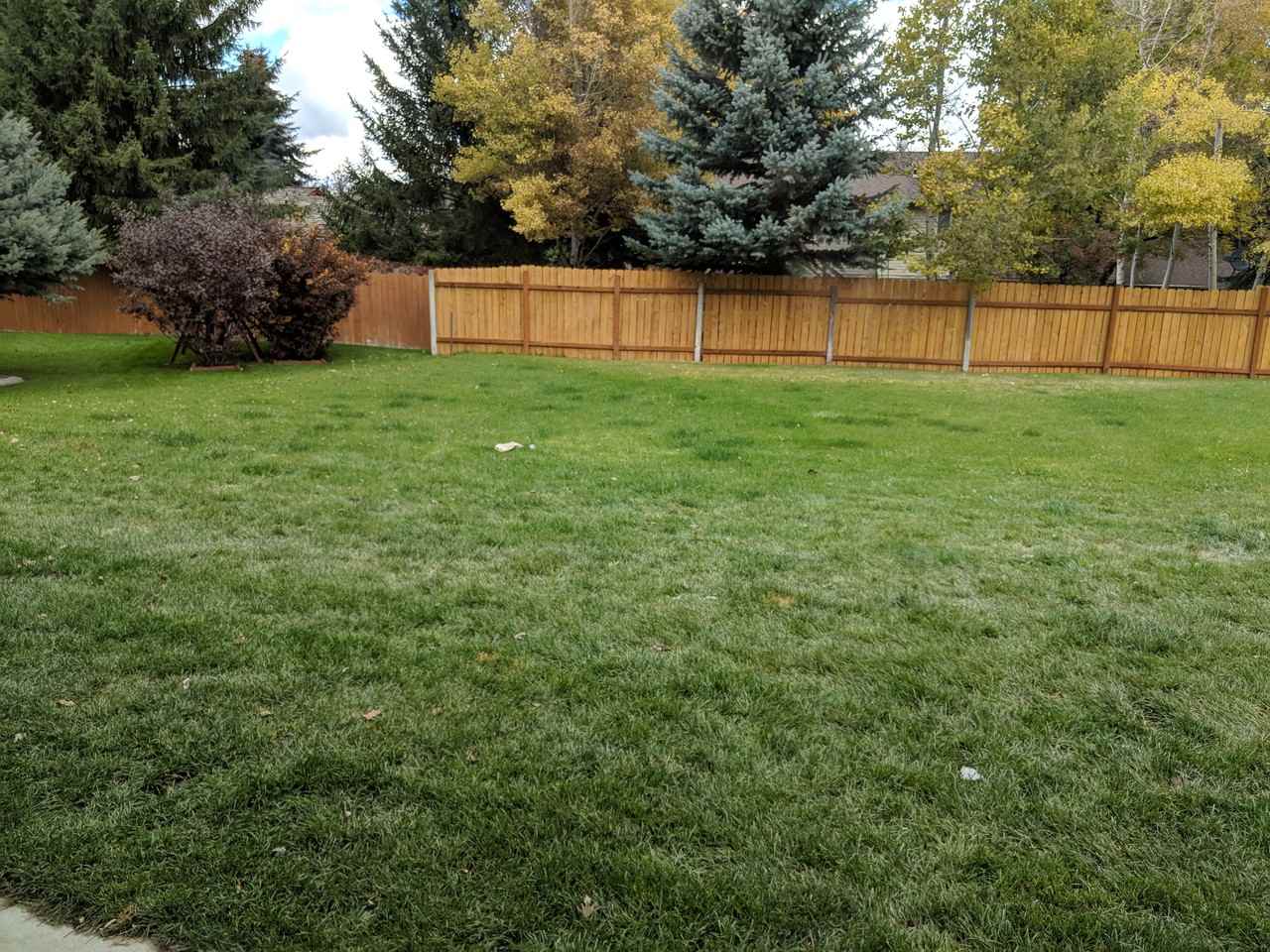 2303 E Olympic Ave - Photo 3 of 22