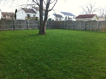 5515 Rockhampton Path - Photo 2 of 7