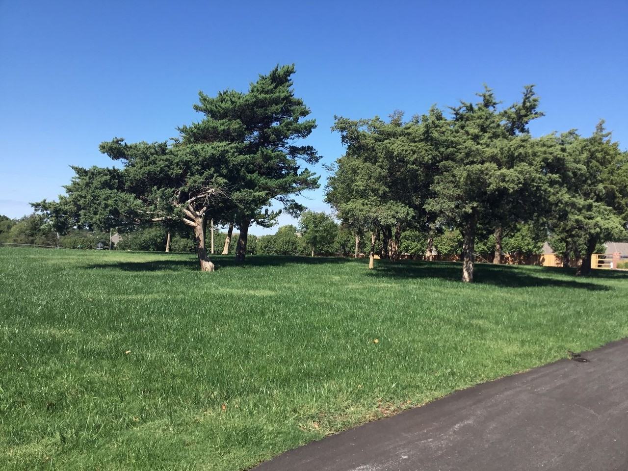 640 NW 150th St - Photo 2 of 50