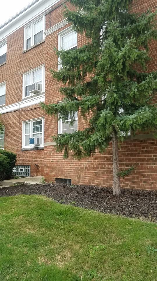 3363 Warrensville Center Road - Photo 3 of 10