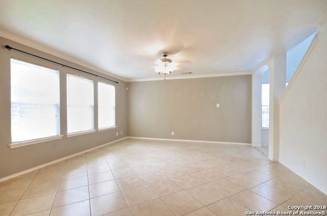 811 Bobcat Creek - Photo 3 of 12