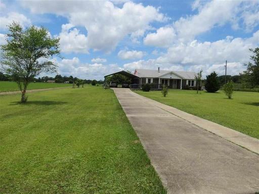 1253 Lewis Rd - Photo 3 of 19