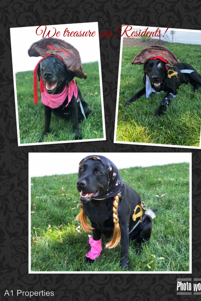 Claypond Road Apartments Clay Pond Rd, Myrtle Beach, SC 29579 Zumper