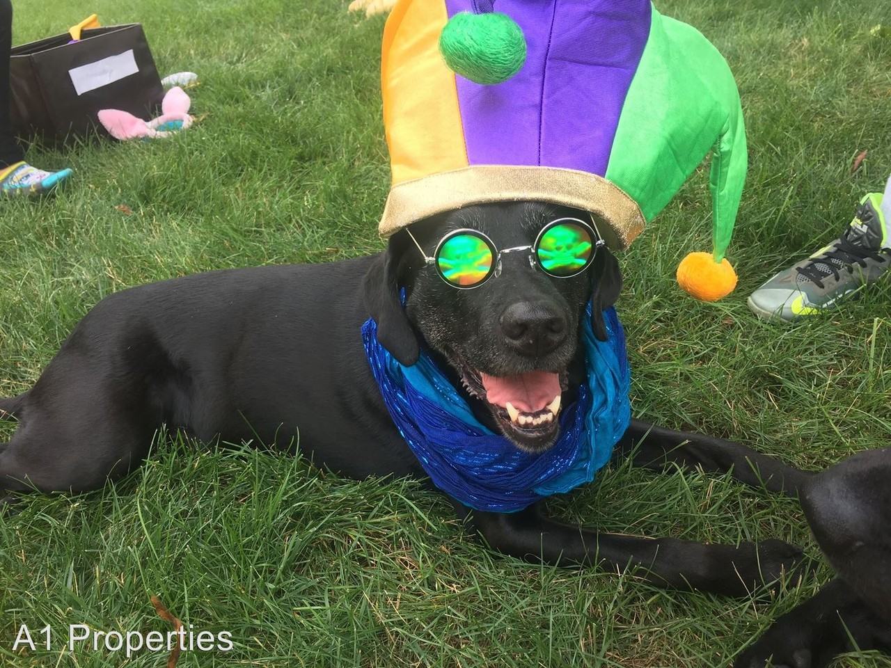 Claypond Road Apartments Clay Pond Rd, Myrtle Beach, SC 29579 Zumper