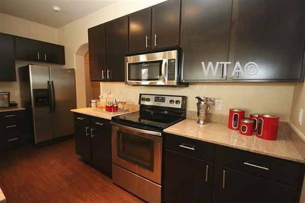 resort style pool Apartments in Downtown San Antonio, San Antonio, TX