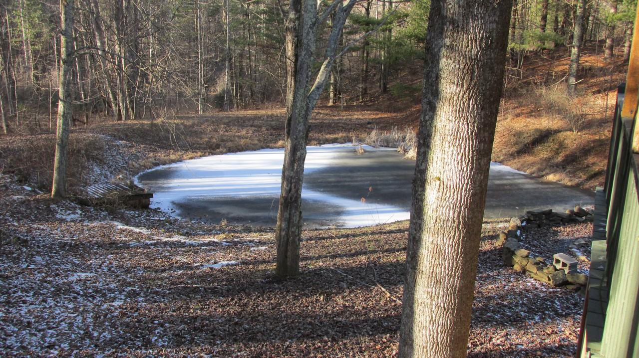 201 Homemont Dr - Photo 3 of 22