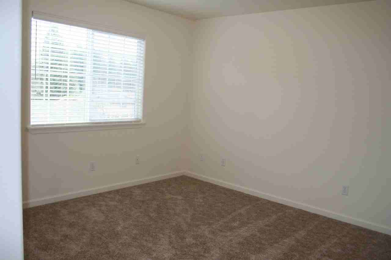 2212 Arbutus St. - Photo 3 of 11