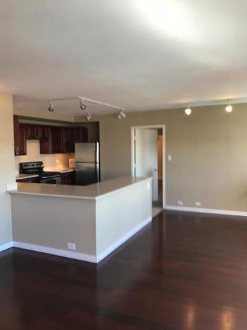 3420 North Lake Shore Drive #9-LM