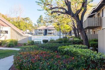 1763 Michon Dr San Jose Ca 95124 3 Bedroom House For Rent