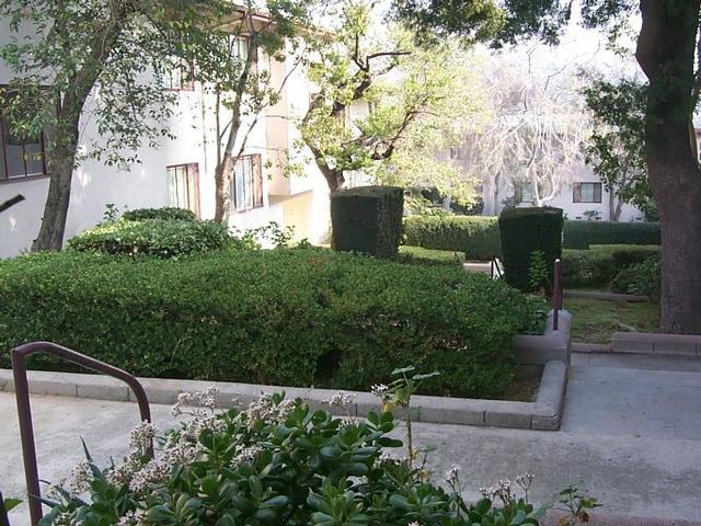 4269 Verdugo Rd - Photo 7 of 11