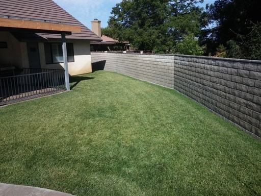39657 Baldi Ct - Photo 2 of 3