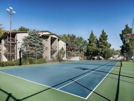 335 East Woodlake Drive - Photo 1 of 1