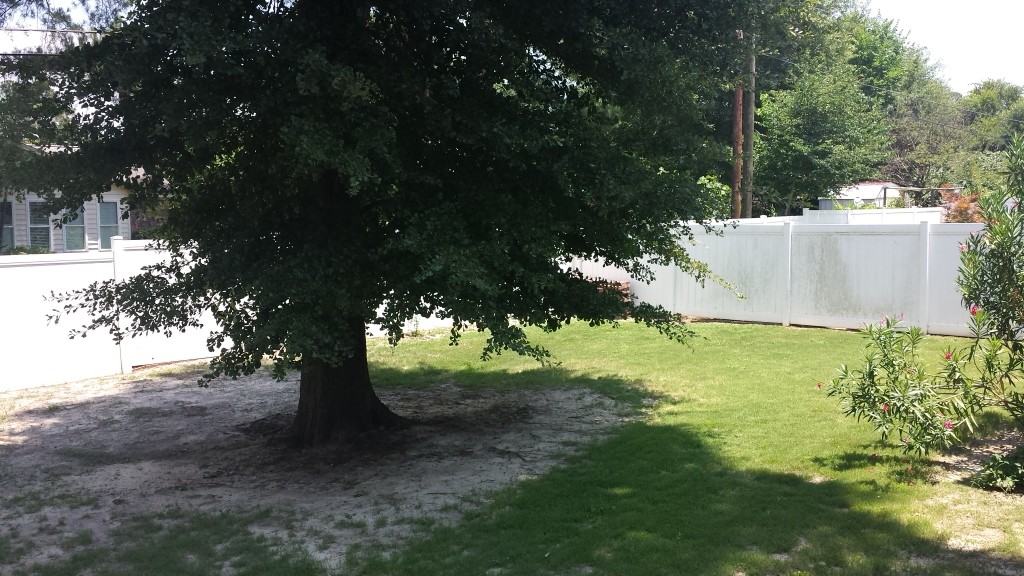 54 Peyton Rd - Photo 3 of 18