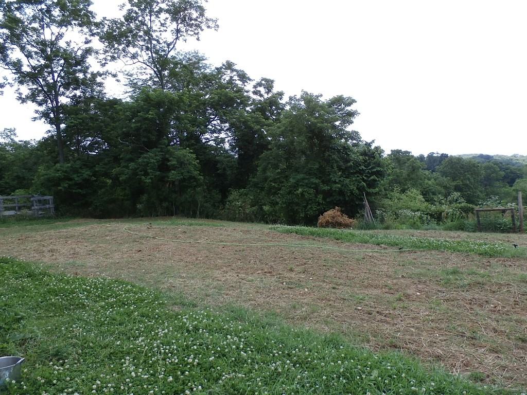3105 Mt Zion-Crittenden Rd - Photo 3 of 12