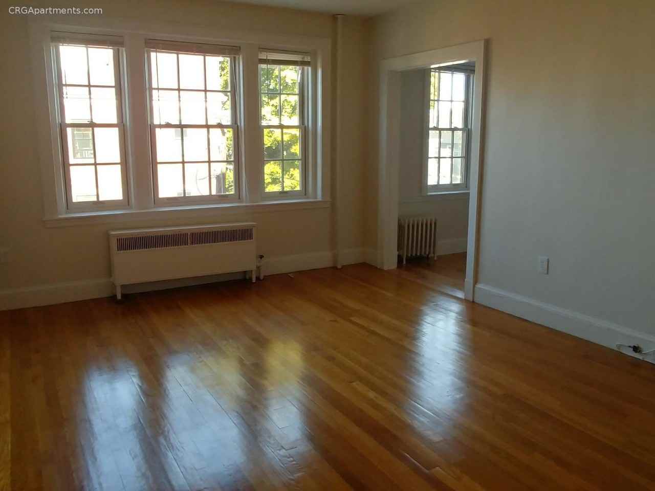 353 Harvard Street #36