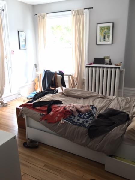 481 Slater Street - Photo 3 of 17