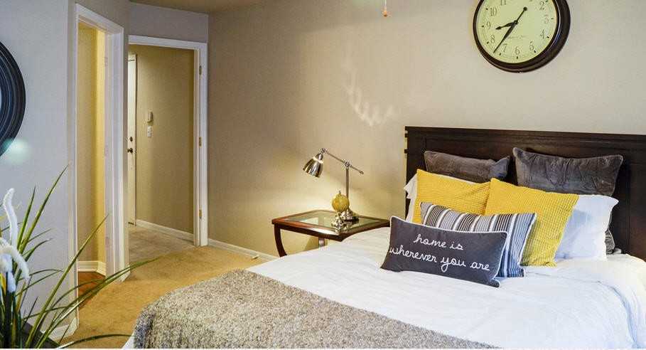 Falls at New Tampa - Photo 2 of 7