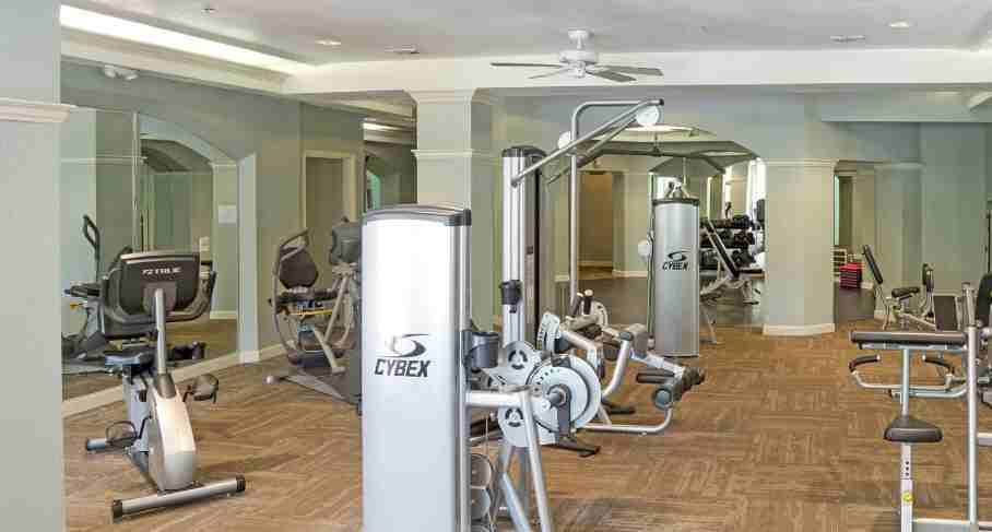 Falls at New Tampa - Photo 3 of 7