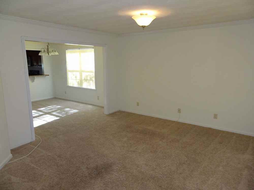 818 Oak Ave - Photo 3 of 18