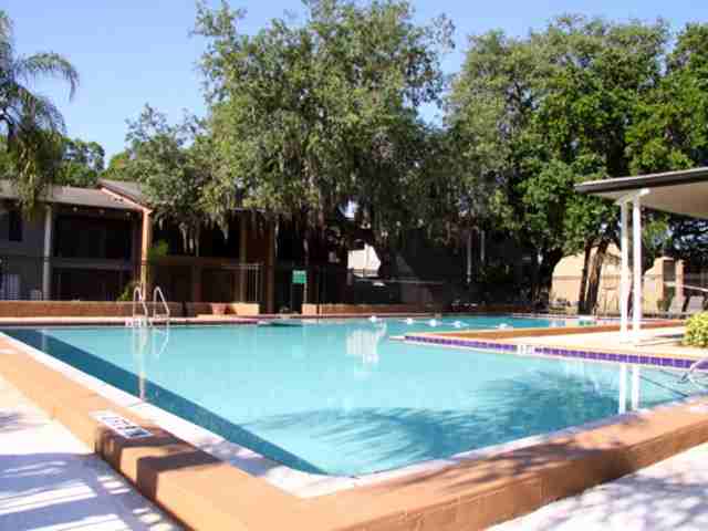 River View - Photo 2 of 6