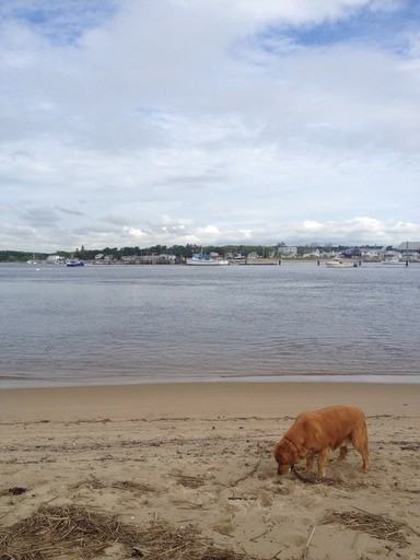 15 Red Oak Ln - Photo 2 of 9