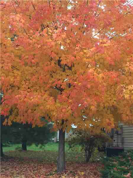 359 Verplanck Ave - Photo 3 of 18