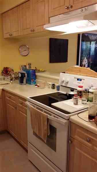 Maui Gardens - Photo 3 of 10