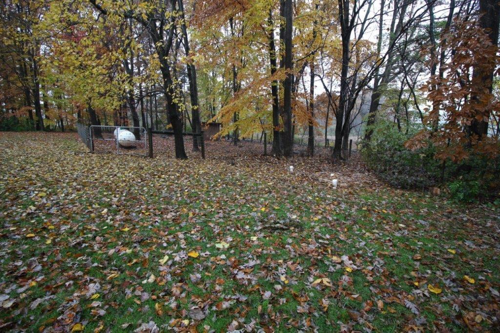 1339 Crestview Dr - Photo 2 of 13