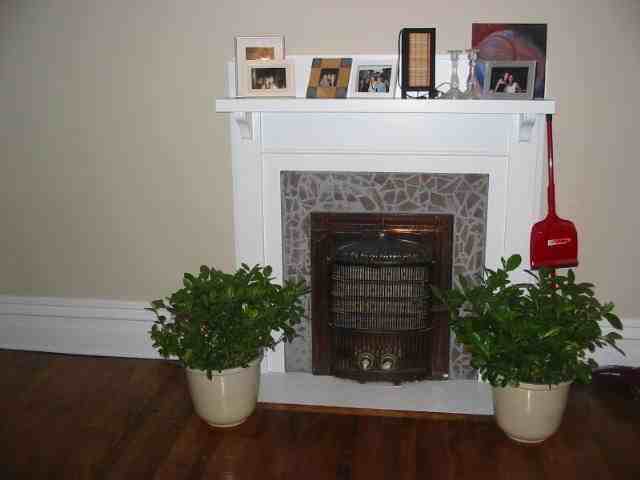 44 McLeod Street #02 - Photo 2 of 7