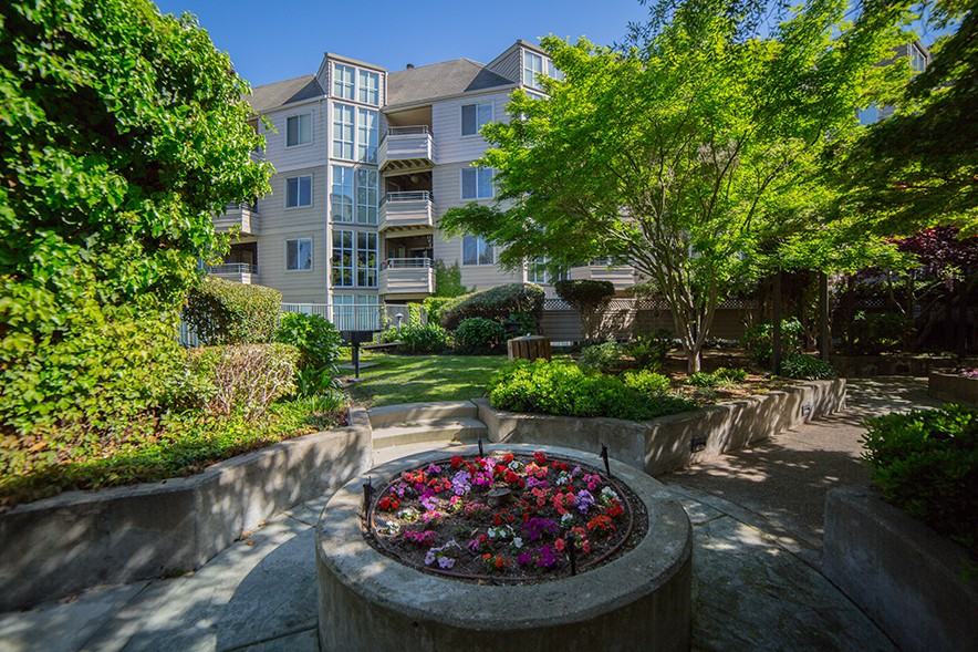 Alpine Park - Photo 4 of 22