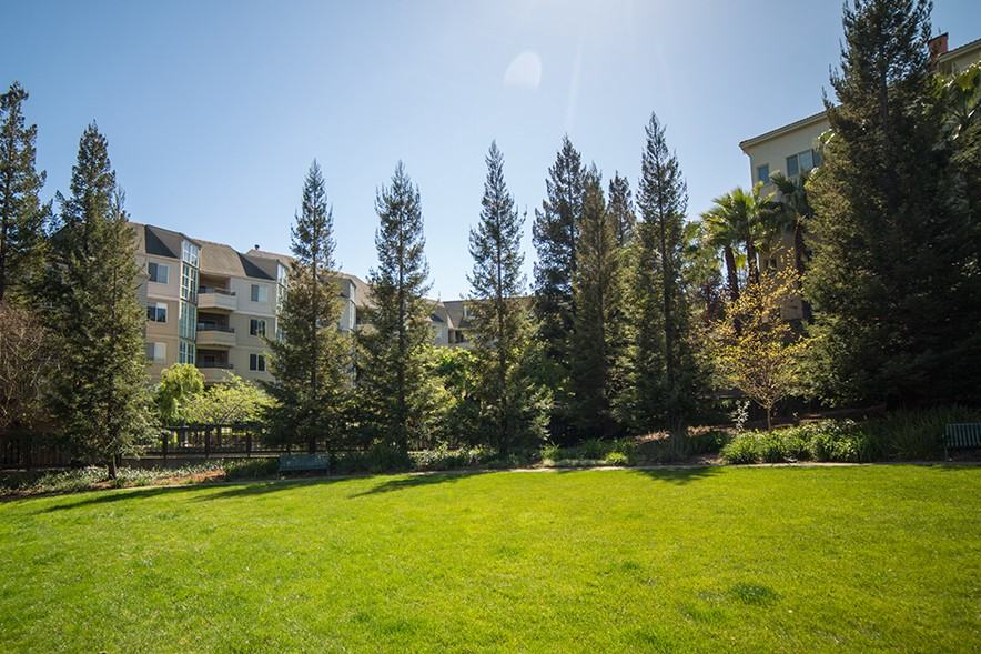 Alpine Park - Photo 3 of 22