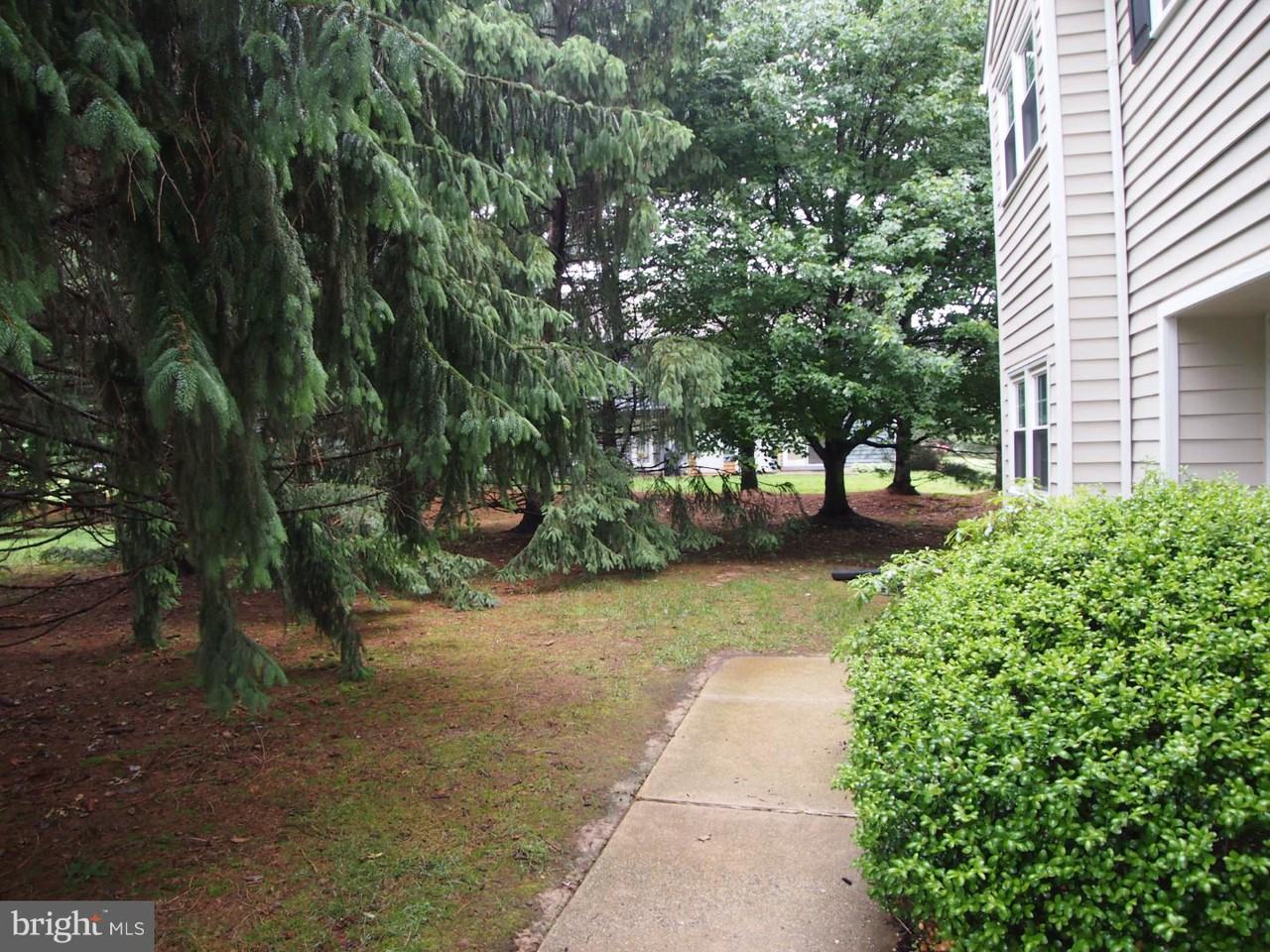 801 Meadow Ct - Photo 3 of 10