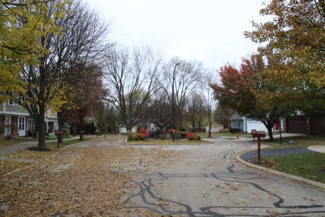 1535 Wedgefield Cir #1535 - Photo 3 of 25