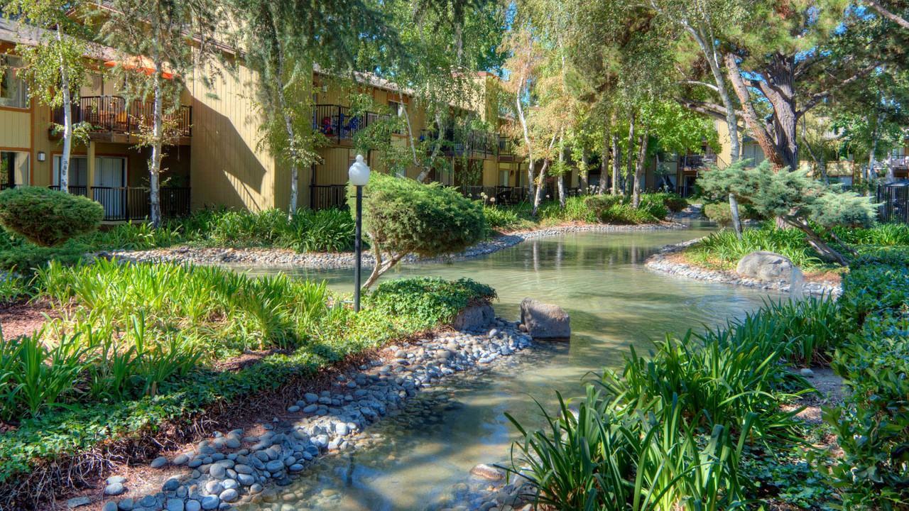 Lorien Ivy - Photo 5 of 80