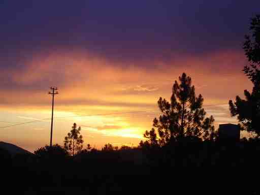 18033 Exposition Dr - Photo 2 of 4