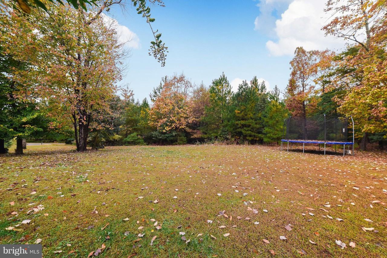 45959 Laura Lee Way - Photo 3 of 19