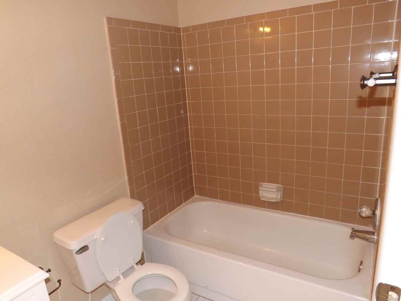 12352 Cloverstone Dr - Photo 3 of 18