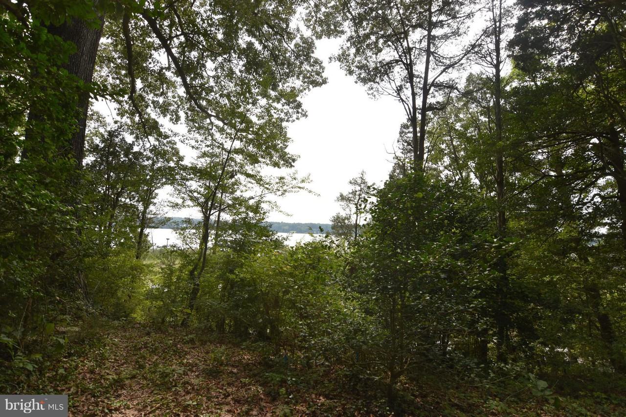 19385 N Snow Hill Manor Rd - Photo 2 of 26