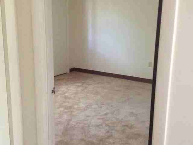 Royal Gardens - Photo 3 of 16