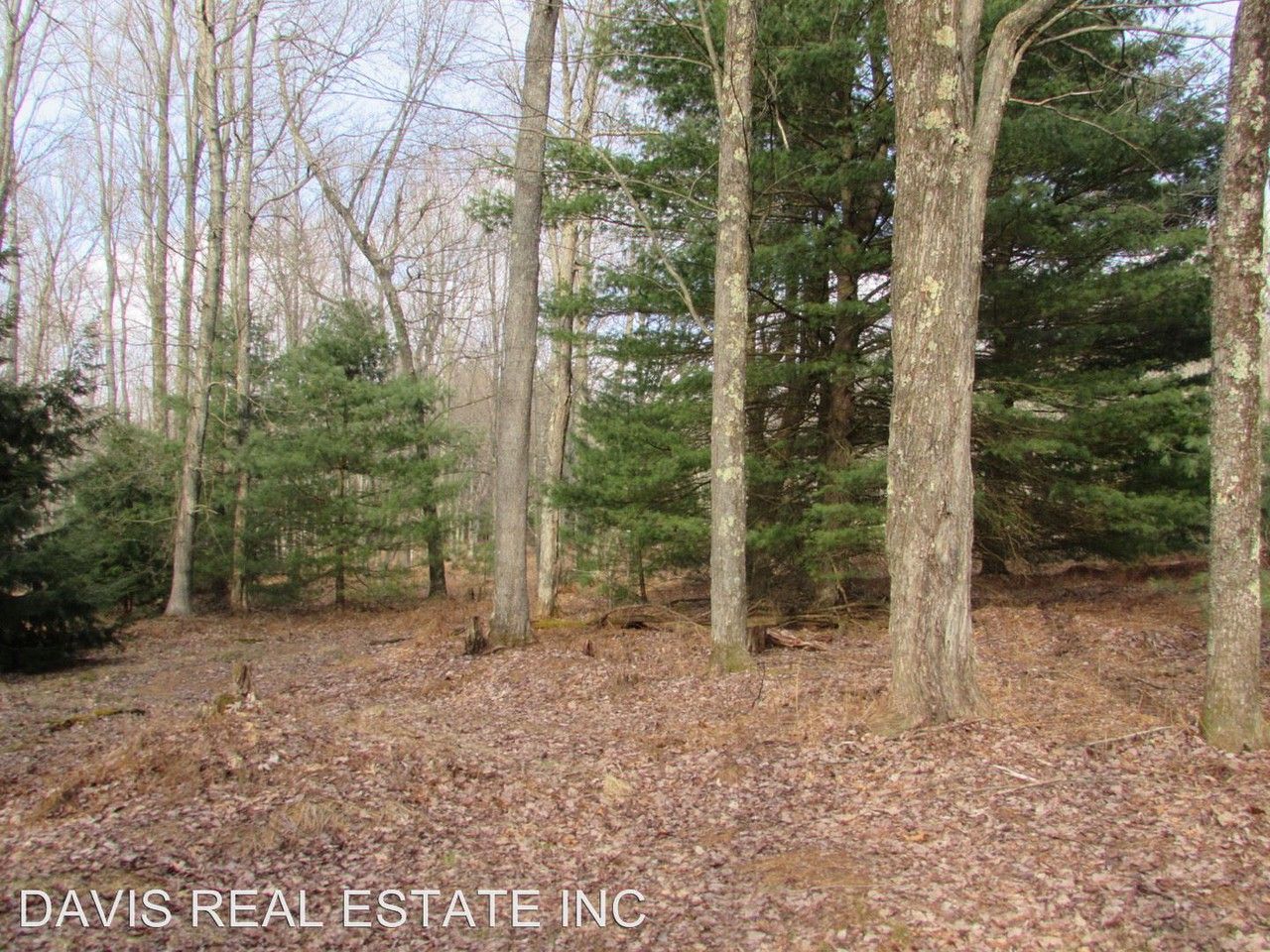 10 Wildcat Ln - Photo 2 of 12