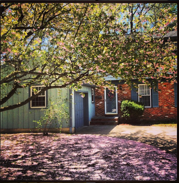 559 Florence Ave - Photo 2 of 14