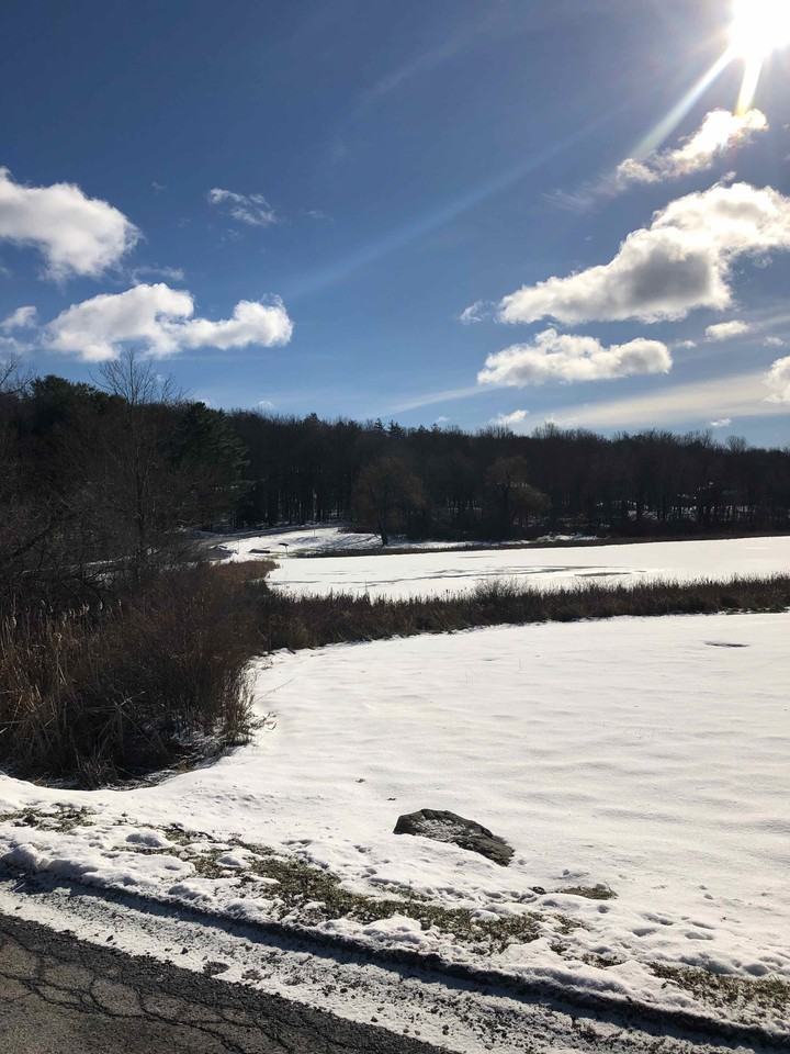 3 Glendalough Rd - Photo 3 of 17