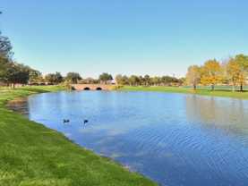 The Lakes at Cinco Ranch - Photo 1 of 1