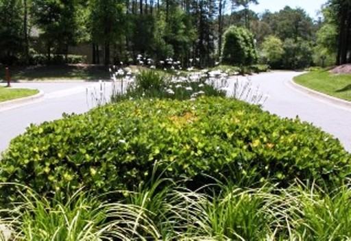 9631 Grallatoral Cir - Photo 3 of 14