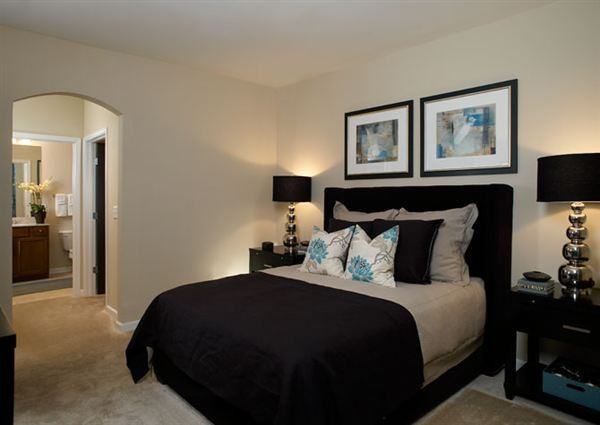 P@Alexander - Photo 2 of 11