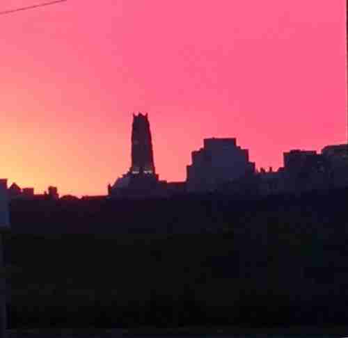 Martha Washington Way #1901